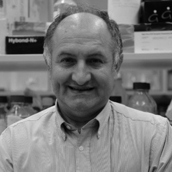 International Conference on Rare Diseases